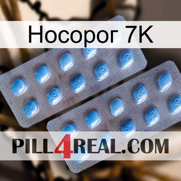 Носорог 7K viagra4.jpg